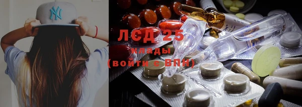 спиды Вяземский