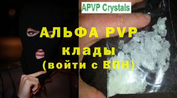 спиды Вяземский