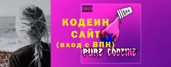 спиды Вяземский