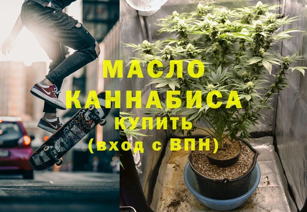 спиды Вяземский
