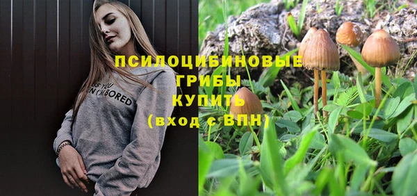 дурь Вязьма