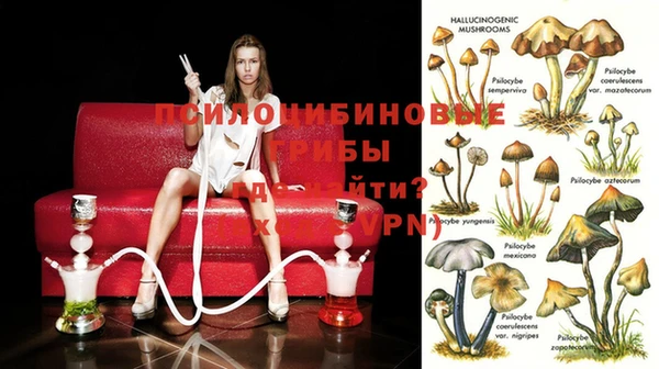спиды Вяземский