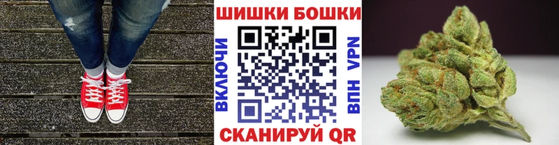 где найти наркотики  Заволжье  Каннабис SATIVA & INDICA 
